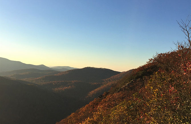 Red autumn leaves stain the Blue Ridge mountains red during the golden hour.