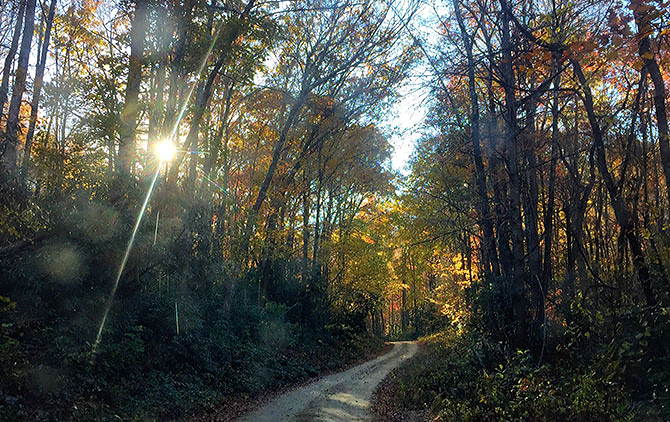 A mountain road winds through autumn trees in a North Carolina forest.