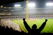 fan and baseball game