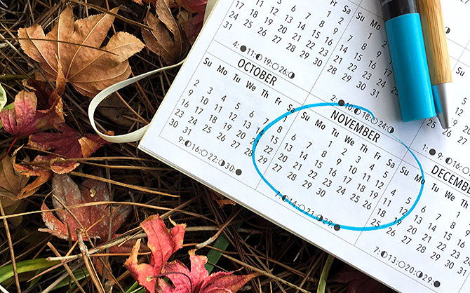 A planner with November circled, on a pile of leaves.